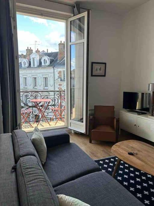Apartmán ~Rosa Bonheur~Hyper Centre Blois Exteriér fotografie